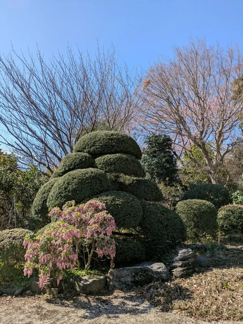 農園ギャラリー写真28