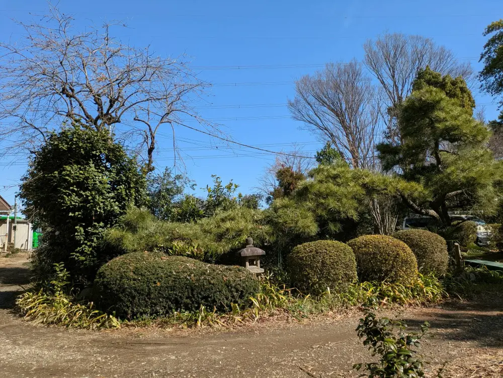 農園ギャラリー写真33