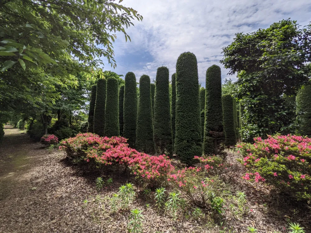 農園ギャラリー写真3