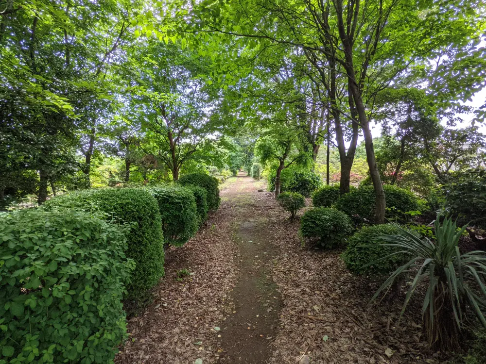 農園ギャラリー写真4