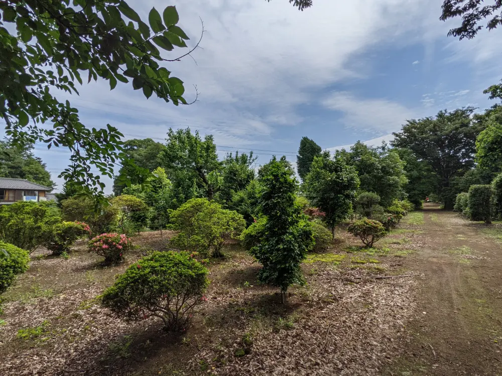 農園ギャラリー写真5