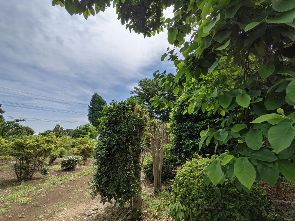 農園ギャラリー写真6