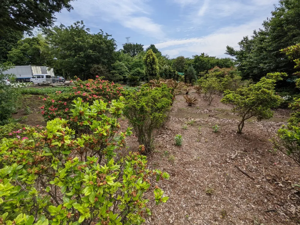 農園ギャラリー写真9