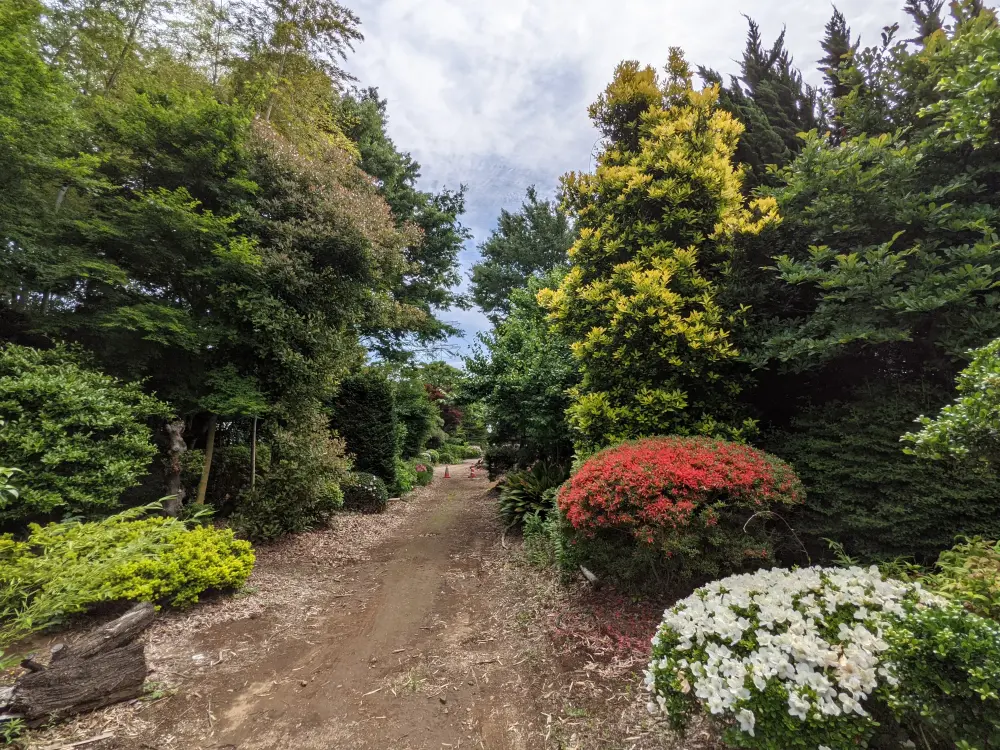 農園ギャラリー写真10