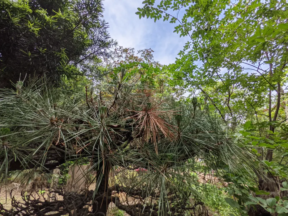 農園ギャラリー写真15