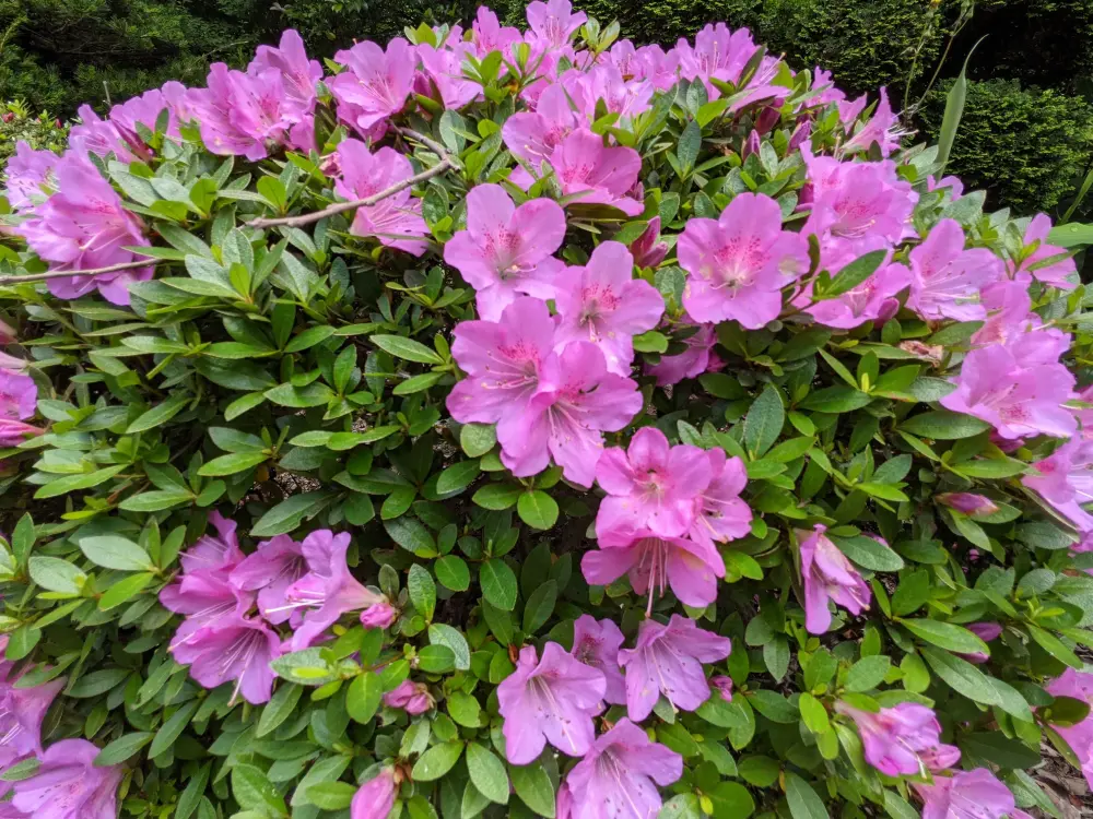 農園ギャラリー写真16