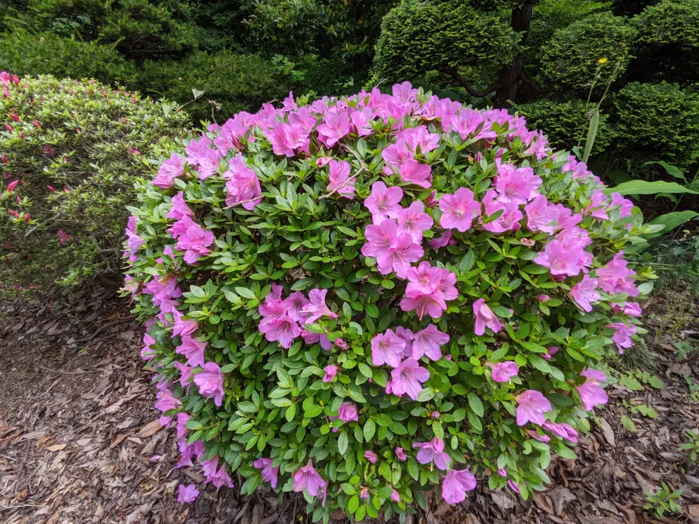 農園ギャラリー写真17