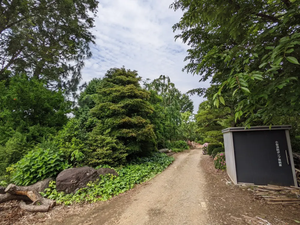 農園ギャラリー写真18