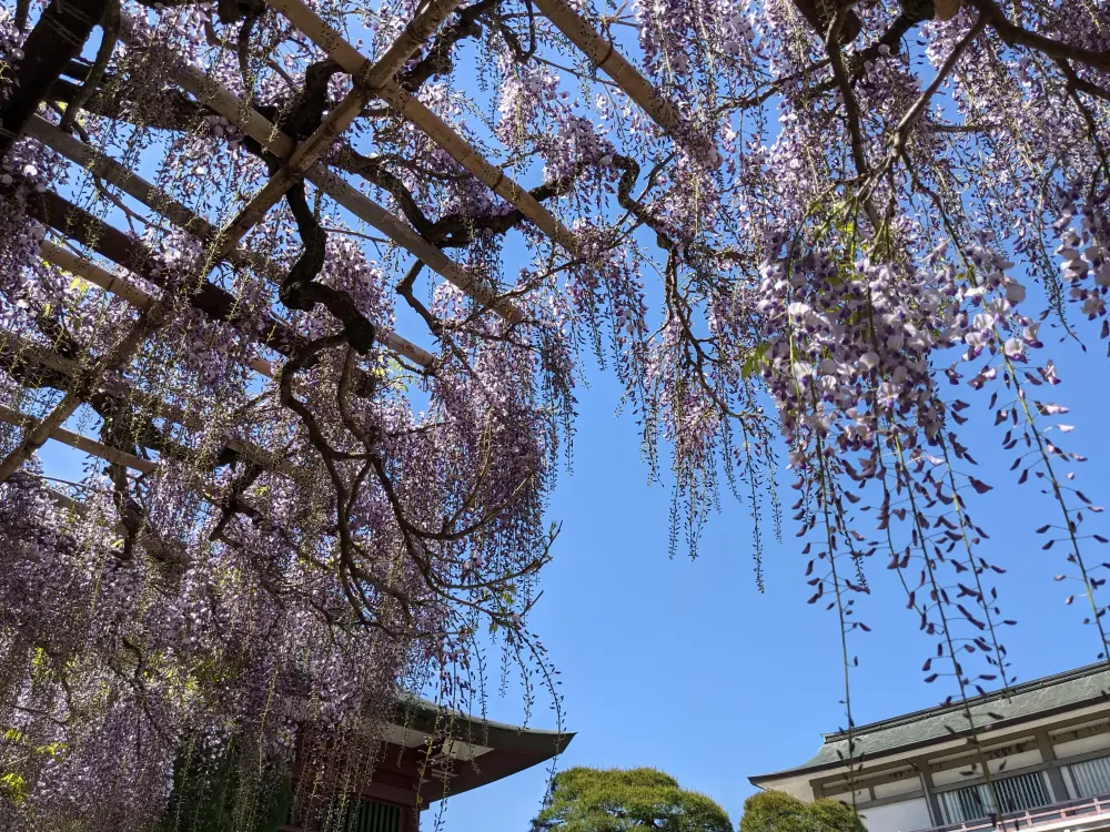 笠間稲荷神社の実績写真4