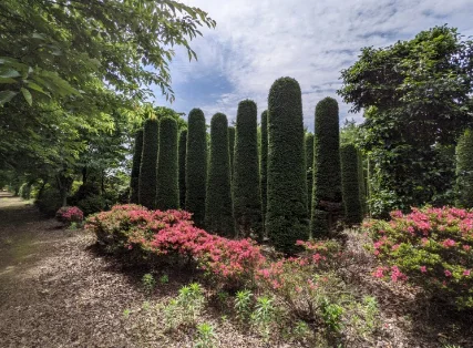 植木販売・農園の様子
